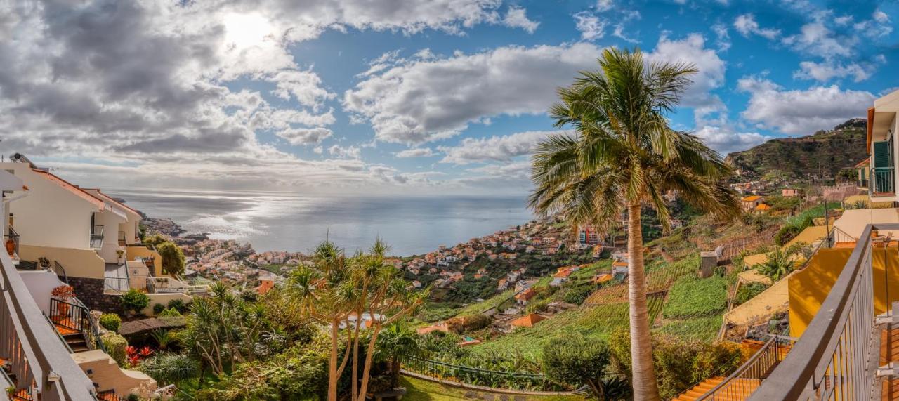 Palm Tree House By Amazing Madeira Villa Camara de Lobos Exterior photo
