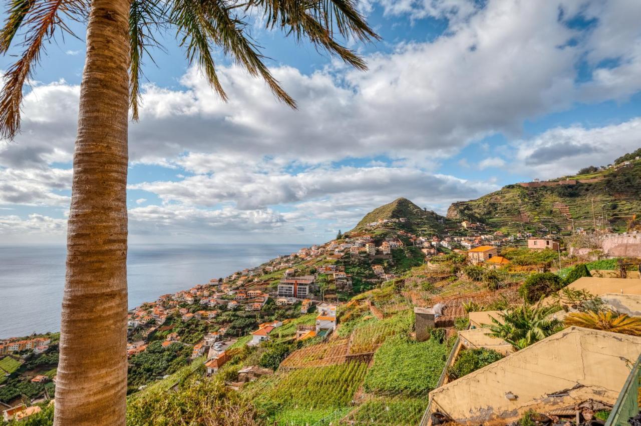 Palm Tree House By Amazing Madeira Villa Camara de Lobos Exterior photo